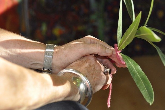 Hands + Plant