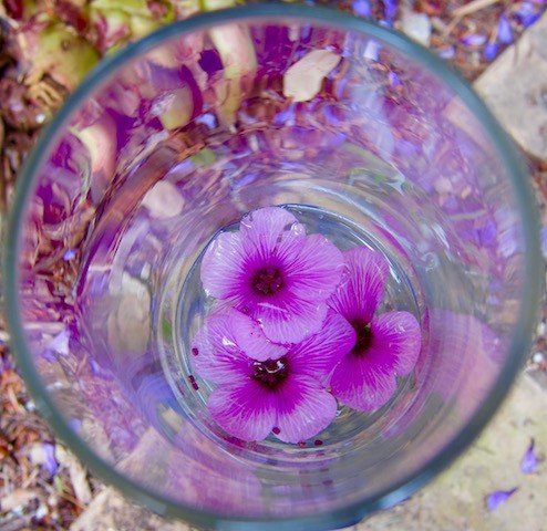 purple-flowers-in-glass